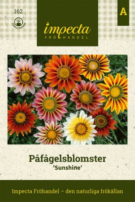 Påfågelsblomster Sunshine