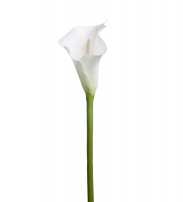 Calla Vit 80cm, Konstgjord