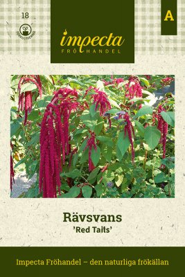 Rävsvans Red Tails
