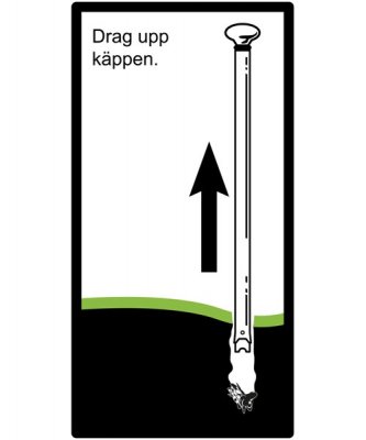 Snigelkäpp