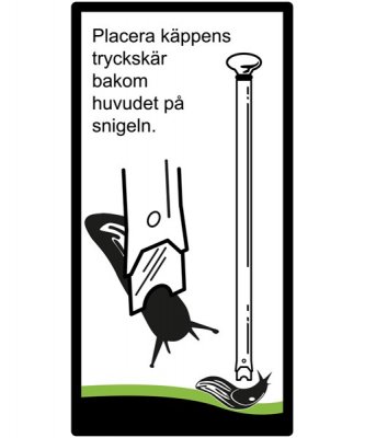 Snigelkäpp