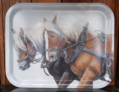 Bricka Ardenner 36x28cm