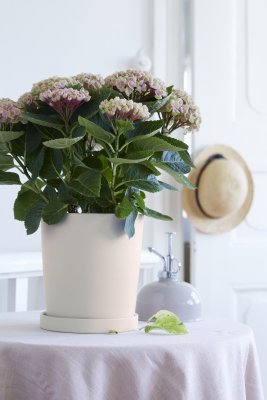 Kruka Lovisa med fat Linne Matt 16x18cm