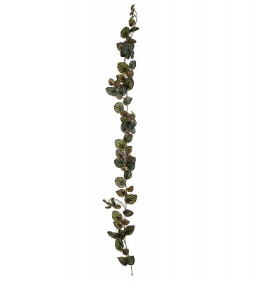 Girlang Peperomia Grön 180cm