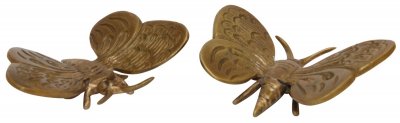 Fjäril Mässing 7x5cm