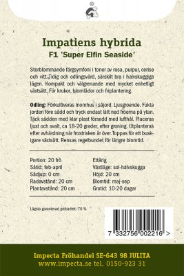Flitiga Lisa, 'Super Elfin Seaside' F1
