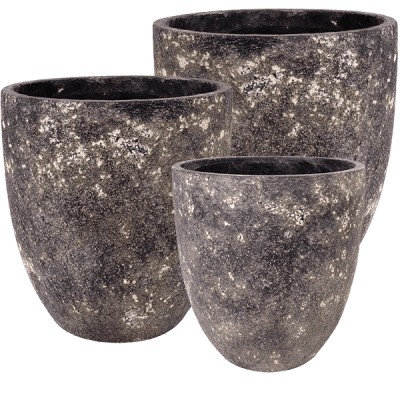 Kruka Grå/Brun Fläckig