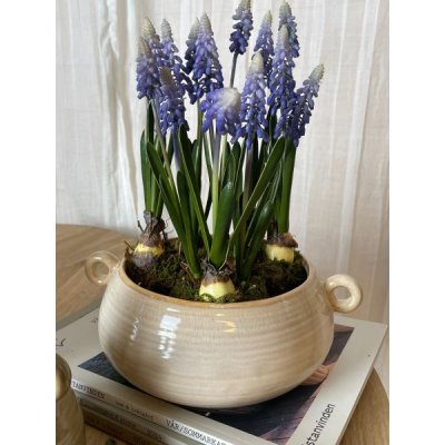 Plantskål Beige med öron 20xH9cm