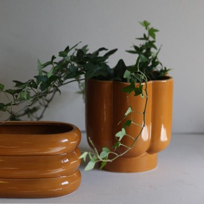 Kruka Senapsgul 20x11xH10cm