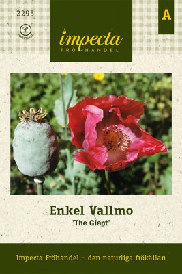 Vallmo, Enkel, The Giant