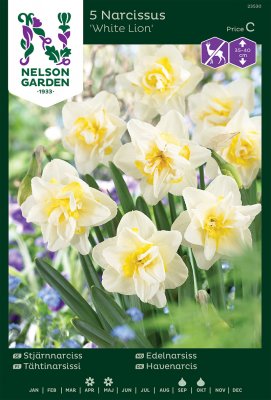 Pingstlilja Fylld Narcissus White Lion 5st