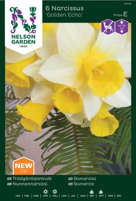 Trädgårdsjonkvill Narcissus Golden Echo 6st