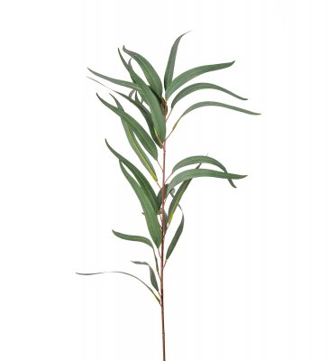 Eucalyptus Grön 100cm, Konstgjord