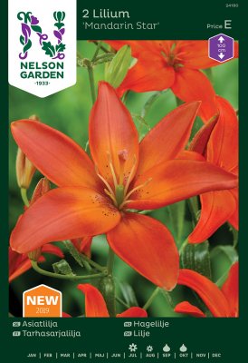 Asiatisk Lilja Lilium Pollenfri Mandarin Star 2st