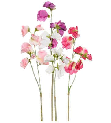 Luktärt Mix 42cm