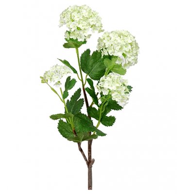 Olvon 55cm