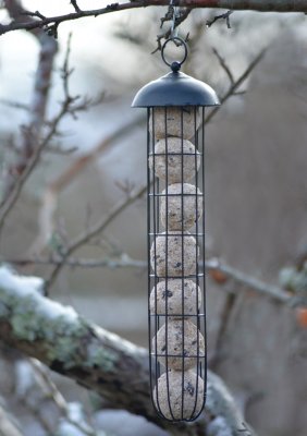 Fågelmatare Talgboll Tube Svart 45cm