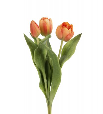 Tulpan Orange 36cm