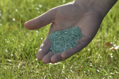 Gräsfrö Villa Plus Coated 1kg