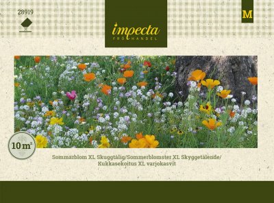 Blomsterblandning XL, Skuggtålig