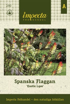 Spanska Flaggan Exotic Love