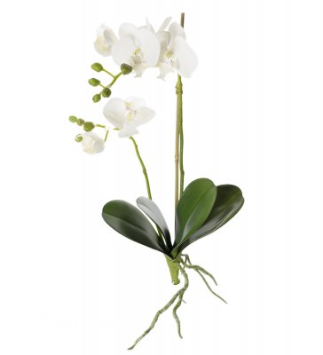 Phalaenopsis Vit 45cm, Konstgjord