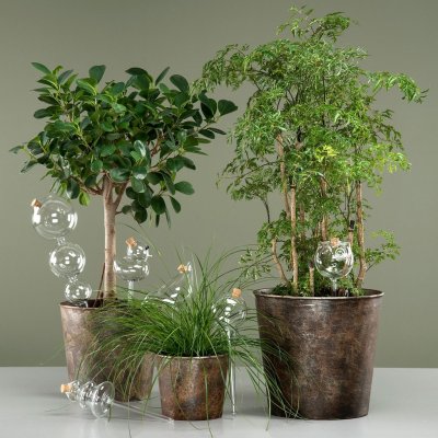 Bevattningsglas Fågel 10x25cm
