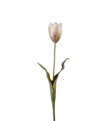 Tulpan Brun 58cm, Konstgjord