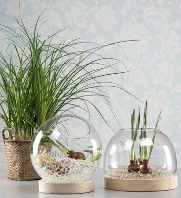 Vattenpärlor Klar 10mm 4L