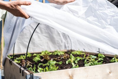 Fiberduk för Pallkragebåge 120x80cm med resår