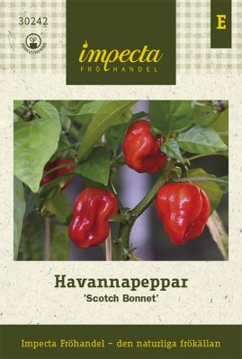 Havannapeppar 'Scotch Bonnet'