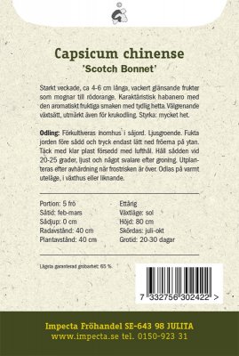 Havannapeppar 'Scotch Bonnet'