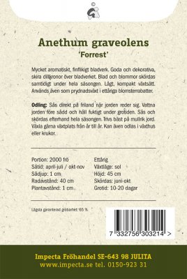 Dill, Blad-, 'Forrest'