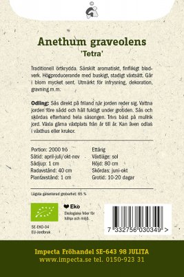 Dill, Blad-, 'Tetra', Ekologisk