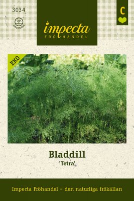 Dill, Blad-, 'Tetra', Ekologisk