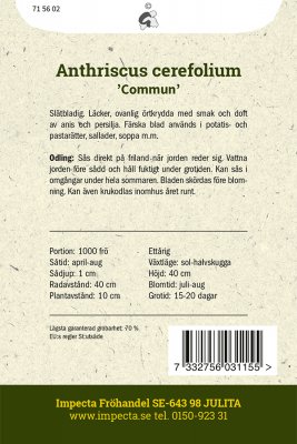 Körvel, Dansk, Commun