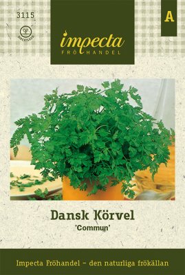 Körvel, Dansk, Commun