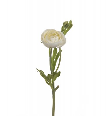 Ranunkel Vit 34cm