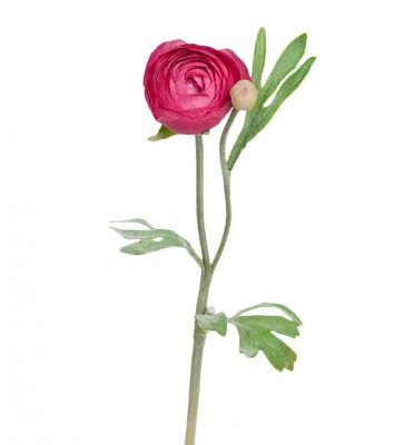 Ranunkel Cerise 34cm, Konstgjord