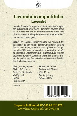 Lavendel