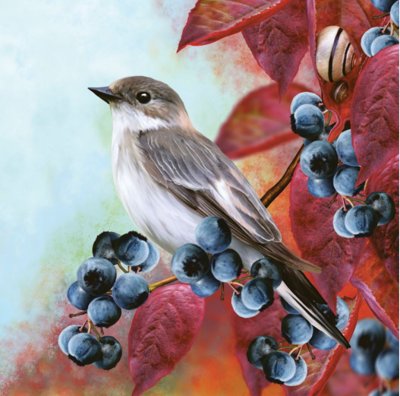 Servetter 3-lags 33x33cm 20-pack Bird on Blackthorn