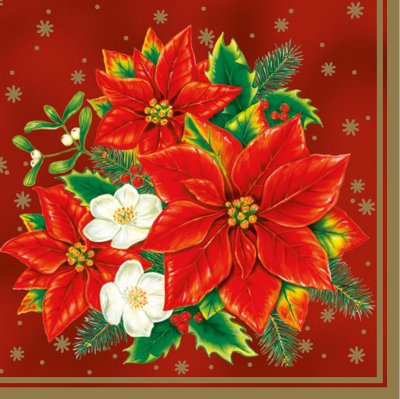 Servetter 3-lags 33x33cm 20-pack Julstjärna