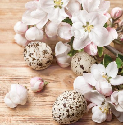 Servetter 3-lags 33x33cm 20-pack Eggs & Apple