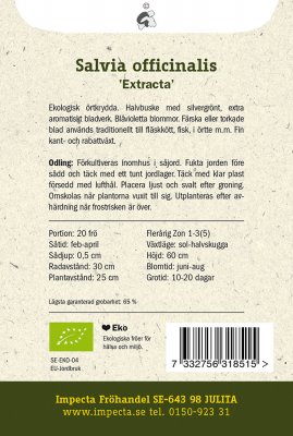 Salvia, Krydd-, 'Extracta', Ekologisk