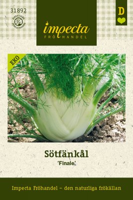 Fänkål, Söt-, 'Finale', Ekologisk