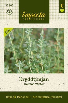 Timjan, Krydd-, 'German Winter', Ekologisk