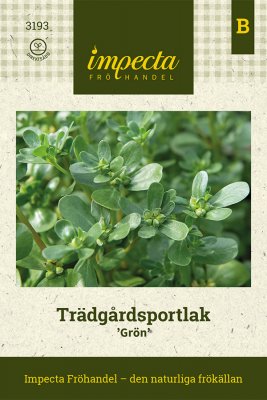 Trädgårdsportlak, Grön