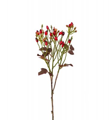 Nypon Röd 60cm, Konstgjord