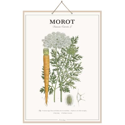 Skolplansch Morot 44x66cm