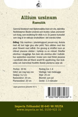 Ramslök